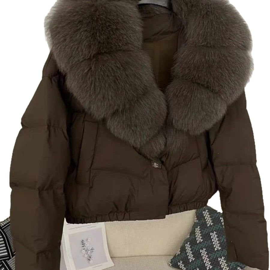 Short Padded Cotton Jacket Women Winter