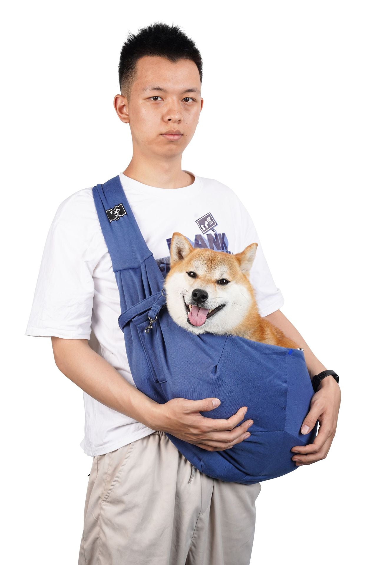 Foldable portable pet carrier