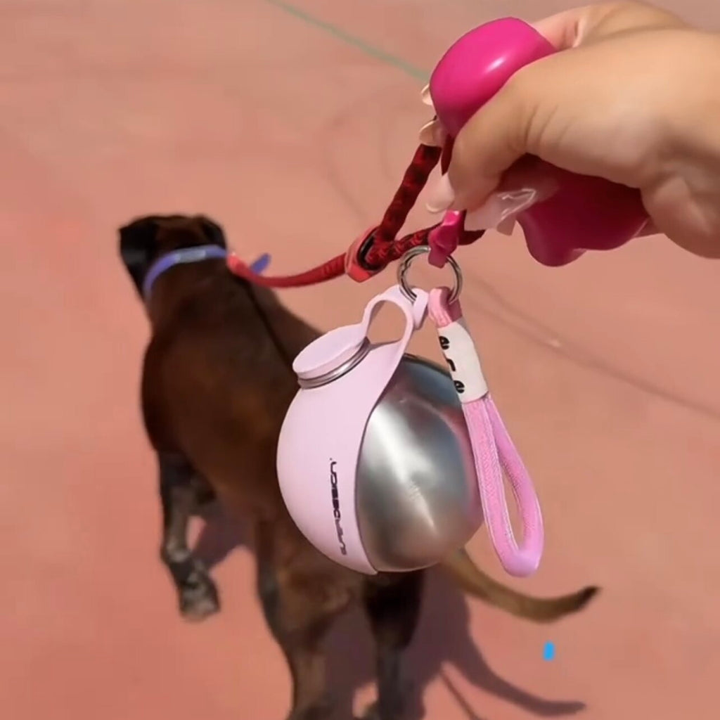 Portable Folding Pet Water Bottle with Bowl