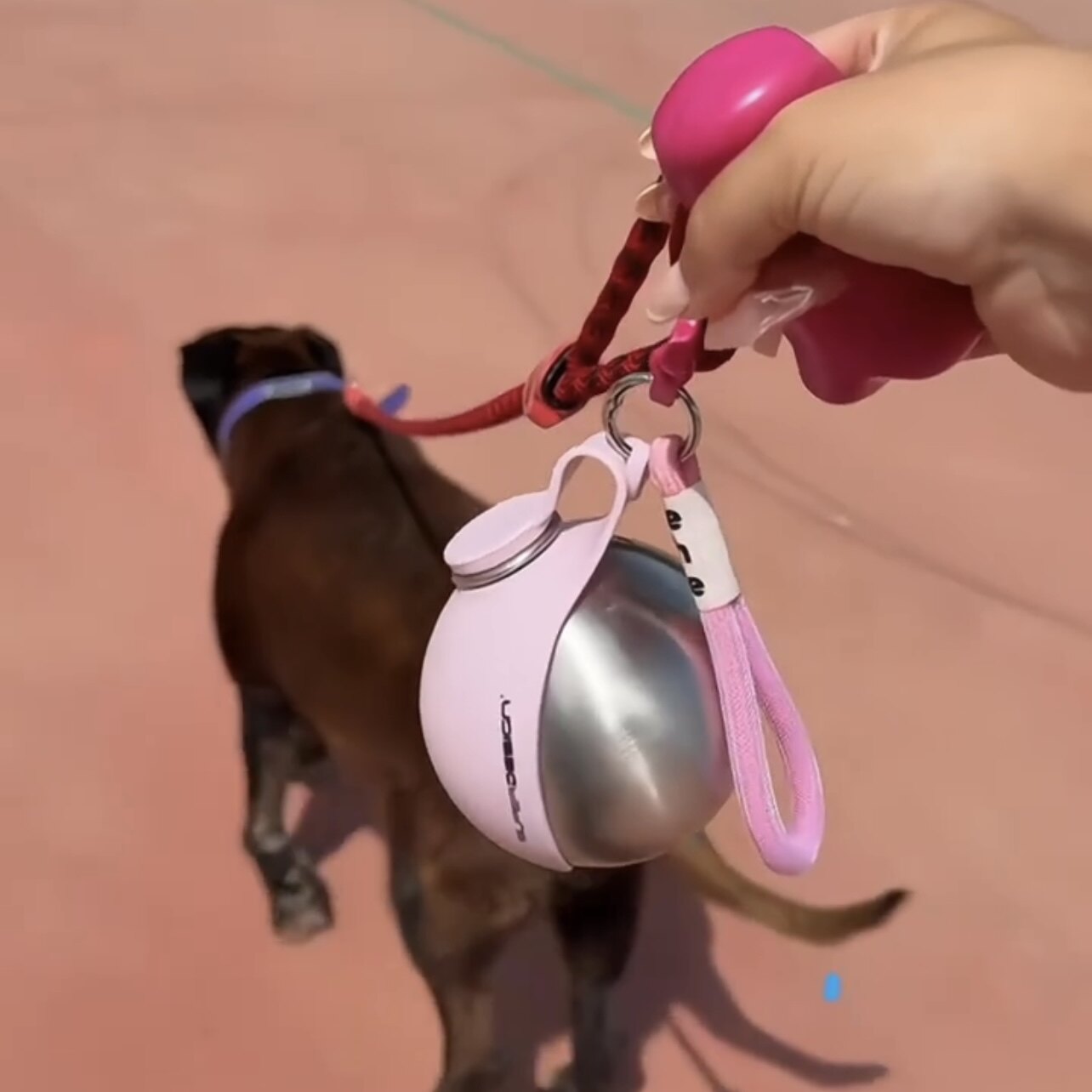 Portable Folding Pet Water Bottle with Bowl