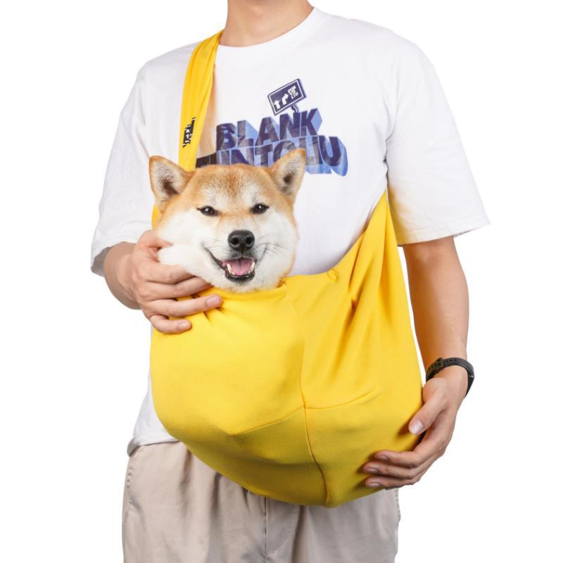 Foldable portable pet carrier
