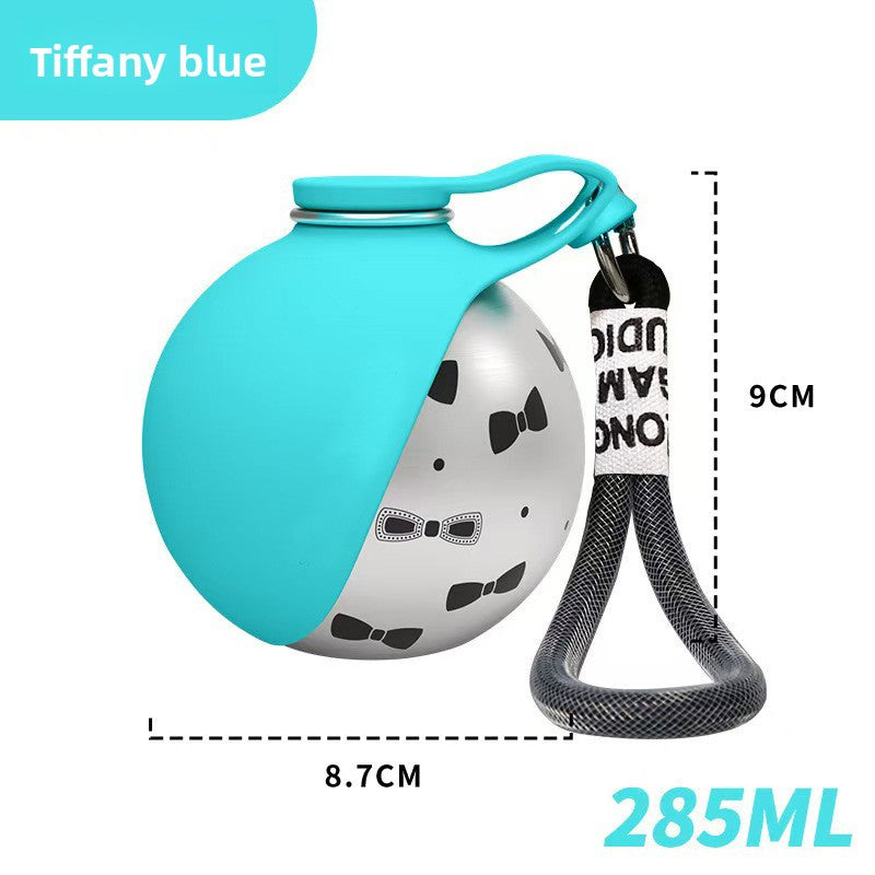 Pet water bottle