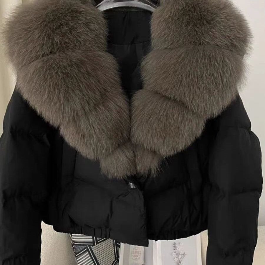 Short Padded Cotton Jacket Women Winter