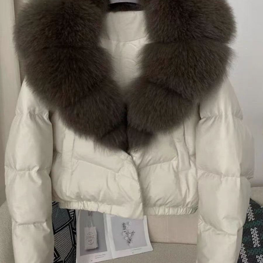 Short Padded Cotton Jacket Women Winter