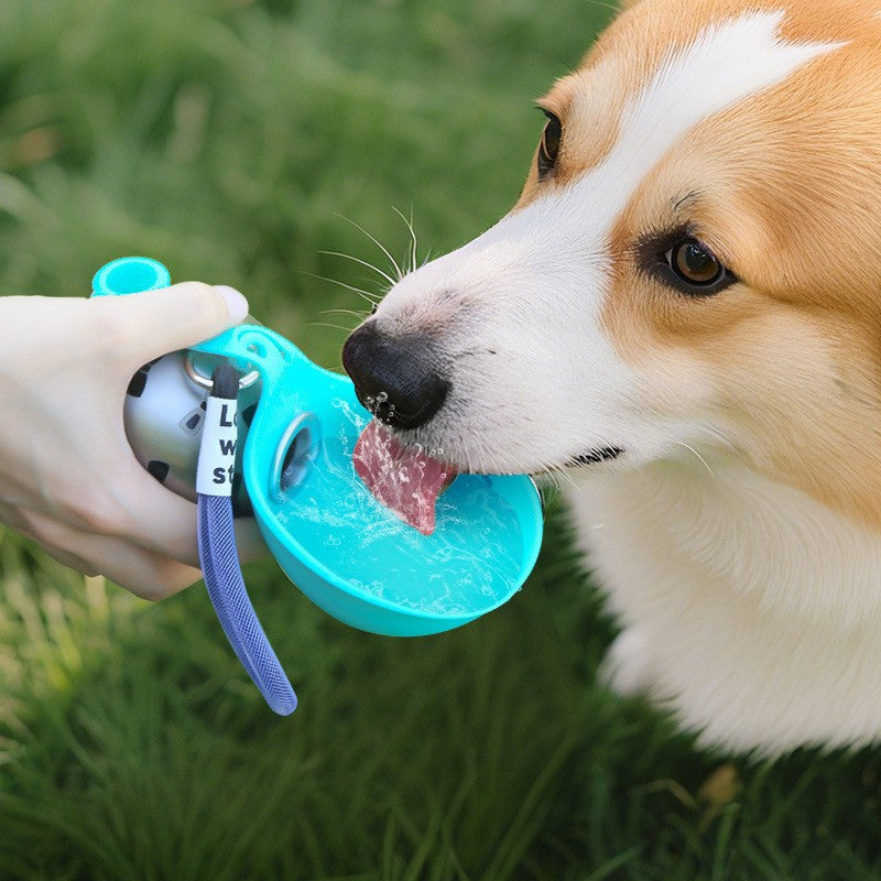 Pet water bottle