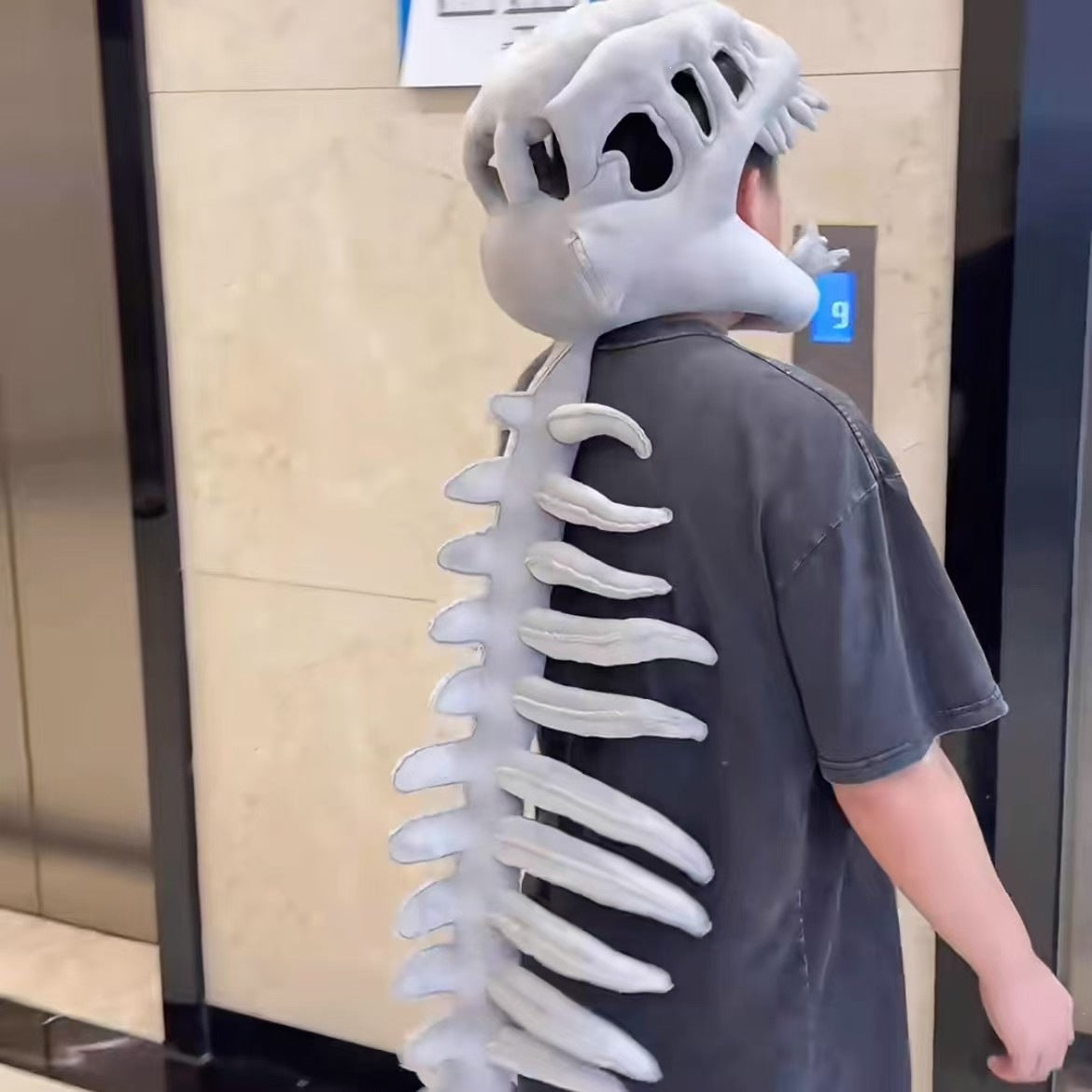 Dinosaur Skeleton Funny Skull Set